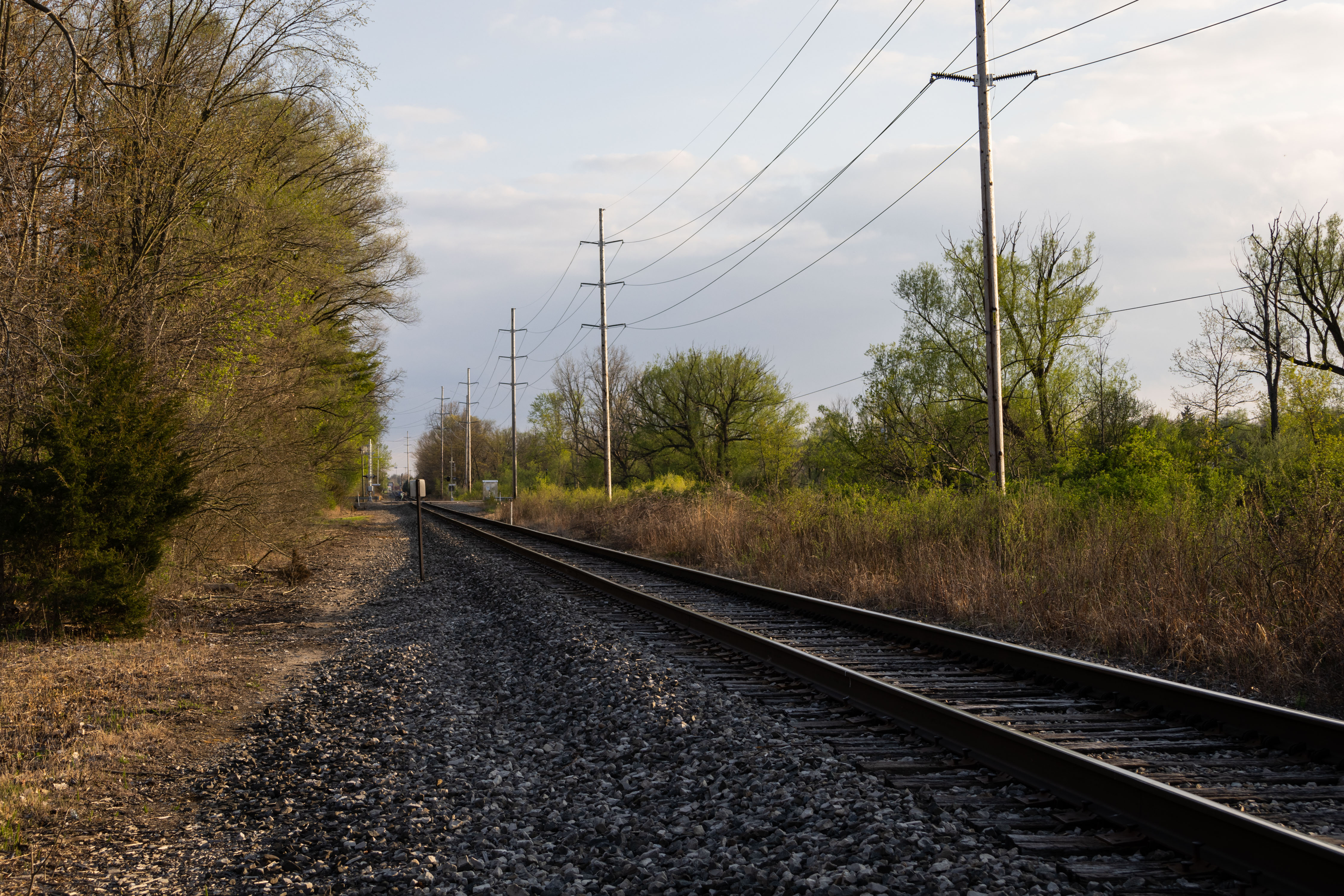 Trial by Celery Flats in Portage, Michigan, April 2024.